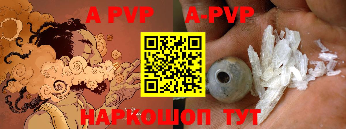 A PVP СК КРИС Орск