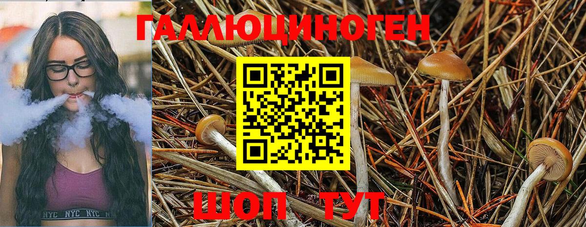 Псилоцибиновые грибы прущие грибы Орск